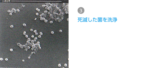 3.死滅した菌を洗浄